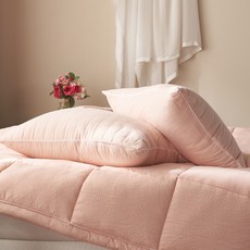 베이글핑크영양제