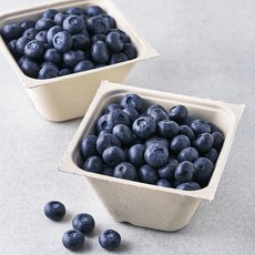 아주마 산지직송 영동 대왕 블루베리, 260g, 2개