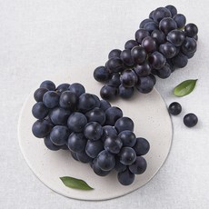 제이드가든 거봉 포도, 1kg(2수), 1개