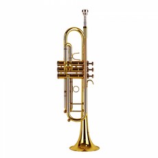Albert Weber HDC Youngchang 小號AWTP1000, 金黃色, AWTP1000