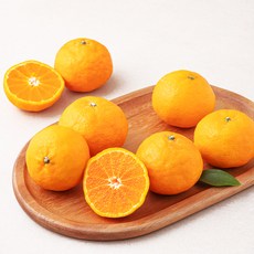 아주마 산지직송 제주 카라향 중과 6~10입, 1.5kg, 1박스