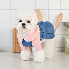 단테의신곡가톨릭출판사