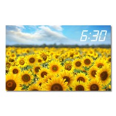 800x500액자