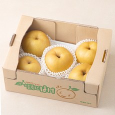 원농산 원황배 3~6입, 1개, 3kg