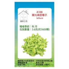 蔬菜工坊 陽光萵苣種子 A108 3600顆, 1個