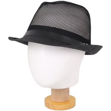 페도라co플러스