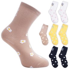 데이지시스루양말