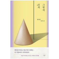 백의 그림자 큰글자도서, 황정은, 창비