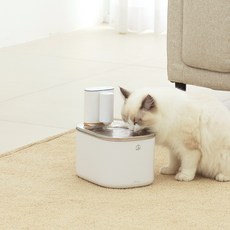 펫드리머 반려동물 스마트 무소음 무선 급수기 3.5L, 화이트, 1개, PDW-001