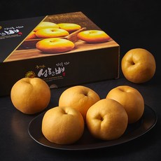 신고배 5~7개입 선물세트, 1개, 5kg
