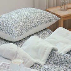 집에서기르는농작물