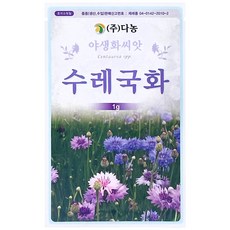 다농 수레국화 씨앗 1g, 1개 1개