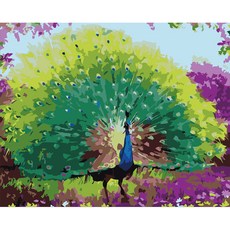 숲소리공작새