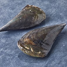 숨비해물 국내산 부드럽고 쫀득한 키조개 2미 (냉장), 1개, 600g 1개, 600g
