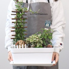 모리앤 초화 박스 3p + 화분 받침 3p, 화이트