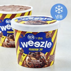 롯데웰푸드 위즐 초코초코밤 아이스크림 (냉동), 1개, 1개입, 660ml
