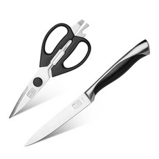 레비오사칼수저