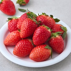 상생 설향 딸기, 1개, 500g(대과)