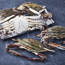 피시원 산지직송 알뜰몽당 봄 숯꽃게 (냉장), 2kg, 1개