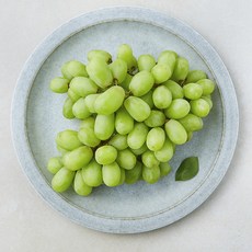 수플린 칠레산 청포도 톰슨, 1개, 800g 과일