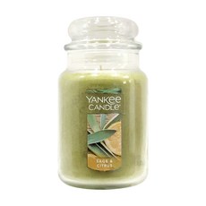 YANKee CANDLe 香氛蠟燭 鼠尾草&柑橘 623公克, 鼠尾草柑橘, 623g, 1個