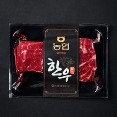 농협 한우 채끝 1등급 구이용 (냉장), 1개, 200g