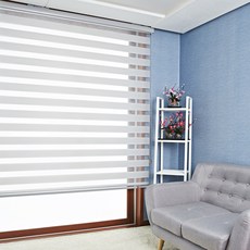 샐리나스블라인드차이점