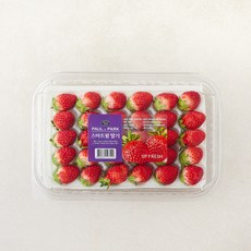 폴앤박 스마트팜 딸기, 1개, 350g
