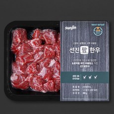 선진팜한우 정육 1등급 국거리용 (냉장), 300g, 1개