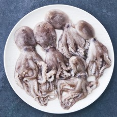 피시원 국내산 자연산 주꾸미 (냉장), 500g(3~8미), 1박스