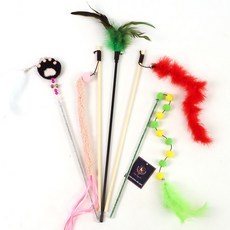 고양이물고기5종세트