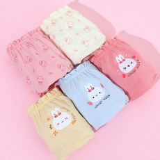 프리미에팜 여아용 레빗 순면 삼각 팬티 5종 세트 리미에팜 여아용 레빗 순면 삼각 팬티 5종 세트