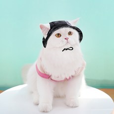 순잠 반려동물 벙거지 햇빛가리개 모자, 블랙, 1개