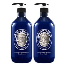 앤써웨이 모링가 앤 비오틴 마일드 트리트먼트 그린파우더리, 980ml, 2개