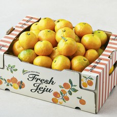 블랙홀 당도선별 10brix 감귤, 1개, 5kg(로열과)