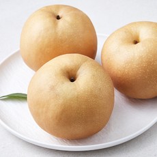 원농산 당도선별 제수용 신고배 3개입, 2.2kg, 1개