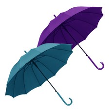 자동장우산