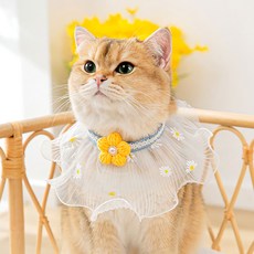 카르노코리아 반려동물 러블리 레이스 스카프 L, 데이지, 1개
