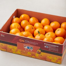 탑문주왕 당도선별 11brix 감귤, 5kg(대과), 1박스
