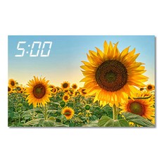 800x500액자