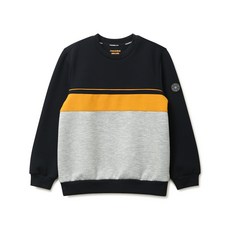 레노마아사면손수건