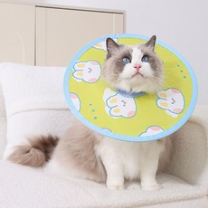 파스텔펫 반려동물 패턴 넥카라, 그린, 1개