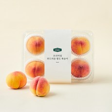 온브릭스 프리미엄 부드러운 황도 복숭아 4~5입, 1개, 1kg 1개, 1kg