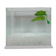 아쿠아테라 창문틀 걸이형 어항 세트 10mm, 화이트(어항), 1개