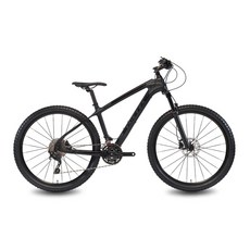 알톤스포츠 인피자 XZ4 MTB자전거, 무광블랙, 180cm