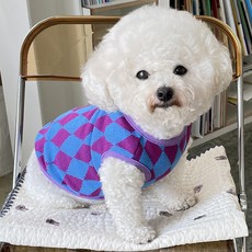 디올강아지니트