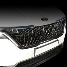 4세대카니발후석엔터