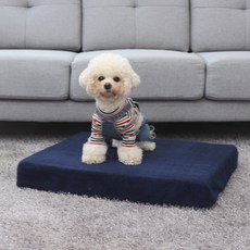 천안원데이클래스애견동반