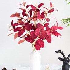 유칼립투스씨앗