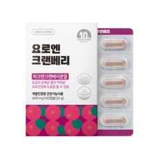 인씨네블루베리즙